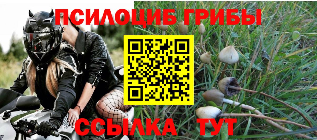 Галлюциногенные грибы Cubensis Елизово